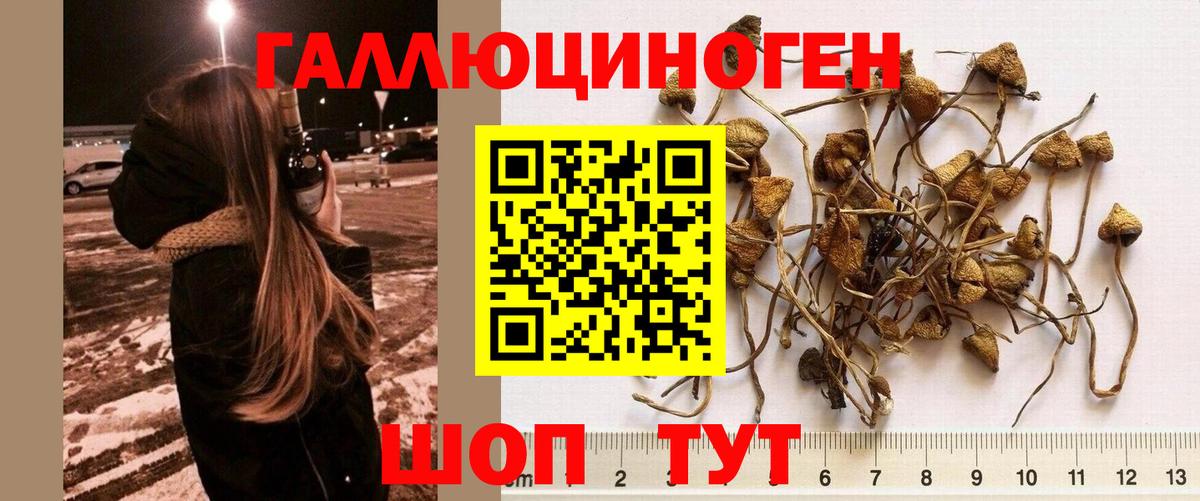 Лянтор  Галлюциногенные грибы MAGIC MUSHROOMS  Вход с VPN  наркотики  Галлюциногенные грибы Magic Shrooms 